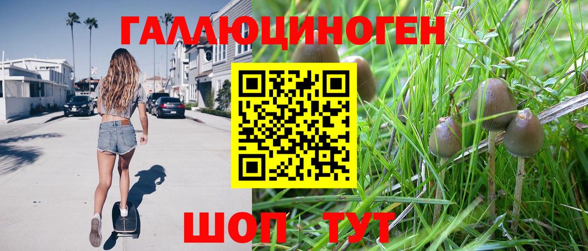 Псилоцибиновые грибы прущие грибы Ялта