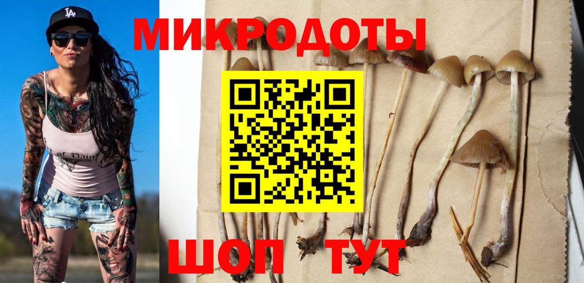 Ялта  Псилоцибиновые грибы мухоморы  Псилоцибиновые грибы мухоморы  Вход с VPN 